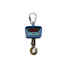 Весы крановые КВ-100-А(В2)