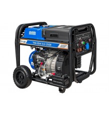 Бензиновый сварочный генератор TSS PROF GGW 2.0/250E